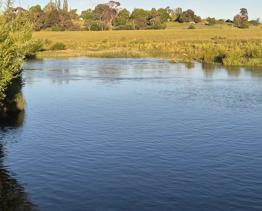A wide, still river edged with reeds and trees under a clear blue sky.